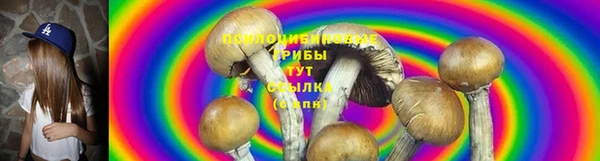 тгк Краснотурьинск