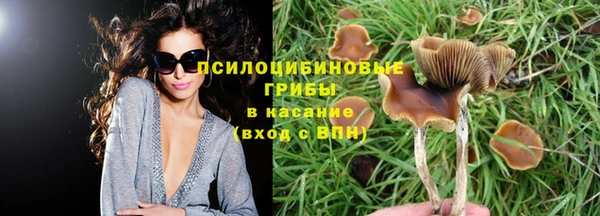 амфетамин Краснослободск
