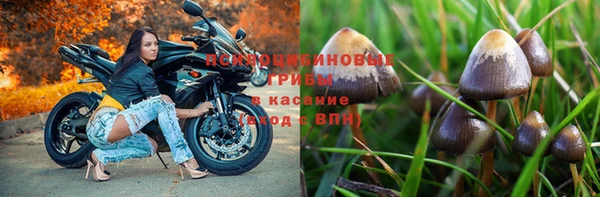 тгк Краснотурьинск
