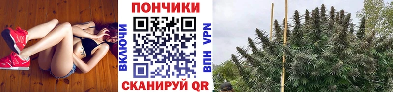 Бошки марихуана SATIVA & INDICA  Купить  Семилуки 
